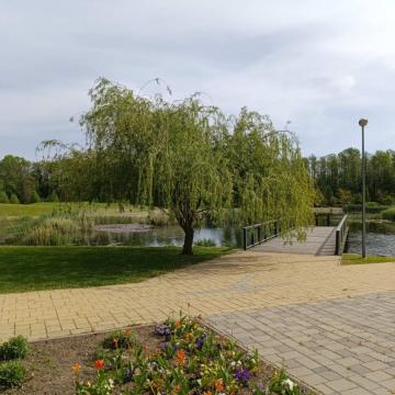 IMG-ad5165eafe1c9e13ca69222e40d8771b-V