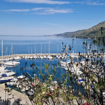 IMG-20260404-WA0006