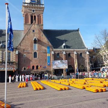 IMG-20260417-WA0008